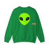 Alien Universe Unisex Heavy Blend™ Sweatshirt S / Irish Green