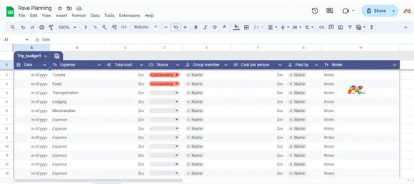 Rave Expense Spreadsheet Digital Download